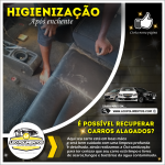 Higienização detalhada