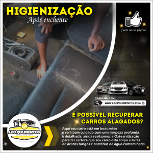 Higienização detalhada